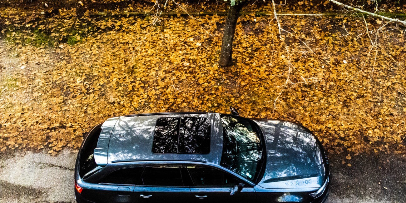 Photo d'une Audi RS6 dans la forêt