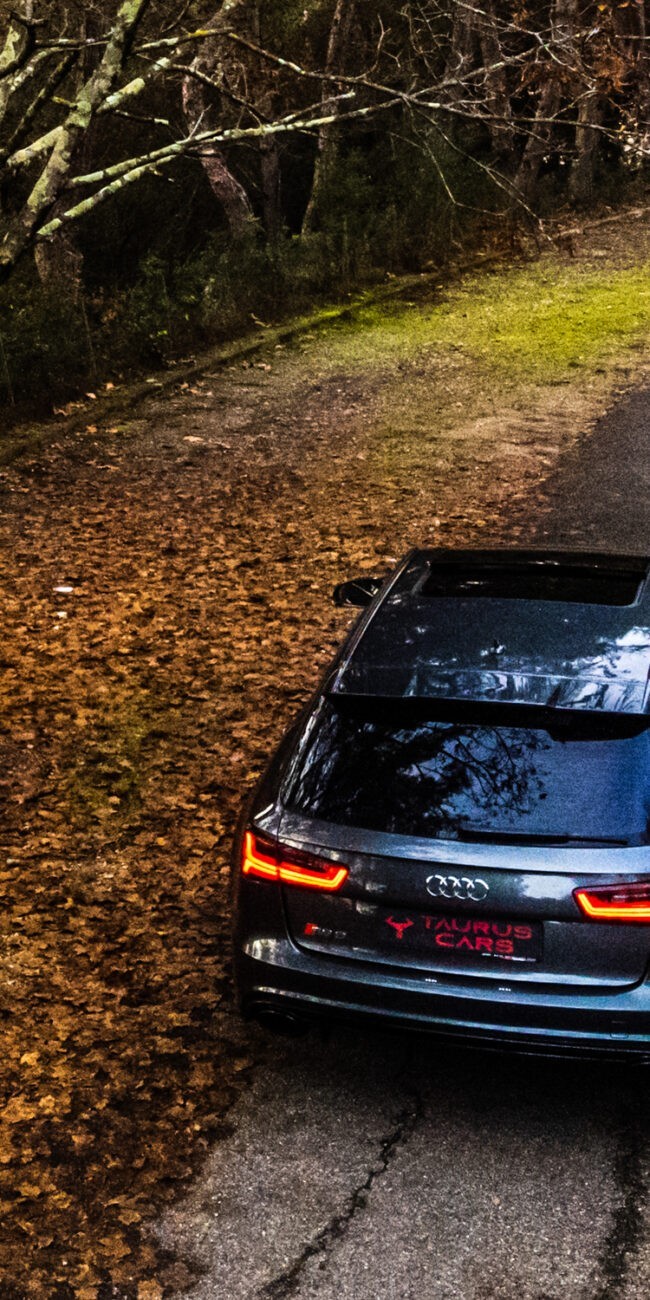 Photo d'une Audi RS6 dans la forêt